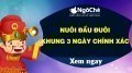 Nuôi đầu đuôi khung 3 ngày - Đánh đề đầu đuôi 3 ngày chiến thắng